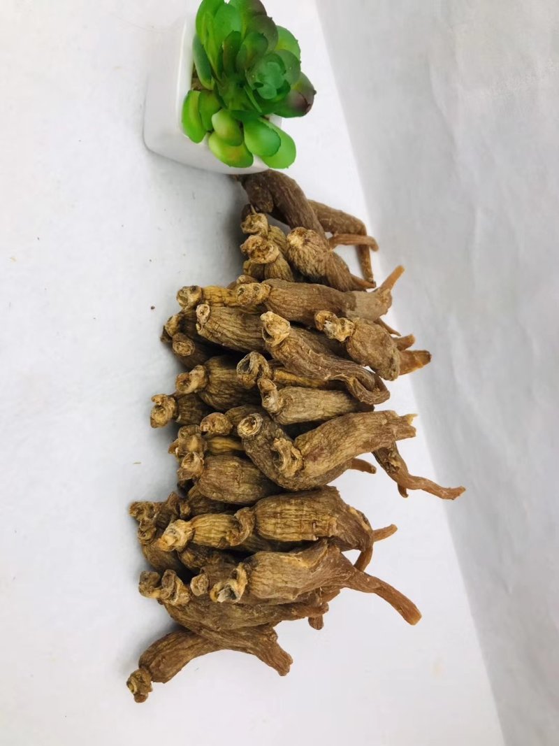 【产地直发包邮】无糖红参红参棒批发价位
