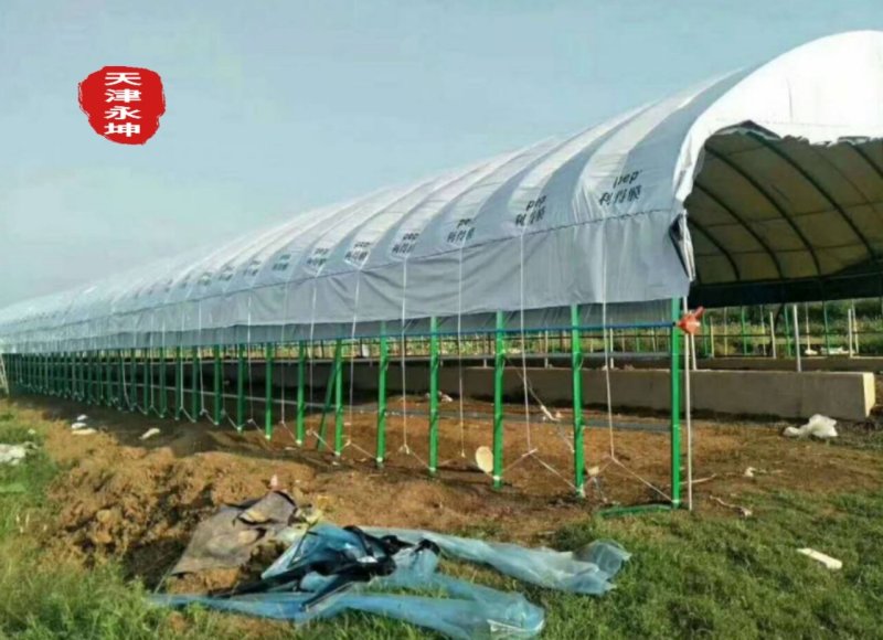食用菌大棚钢架大棚骨架蘑菇大棚圆管椭圆管大棚温室骨架