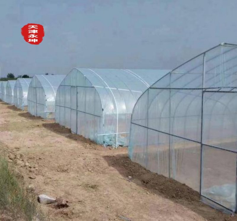 西瓜大棚蔬菜大棚草莓大棚西瓜大棚大棚架厂家直发