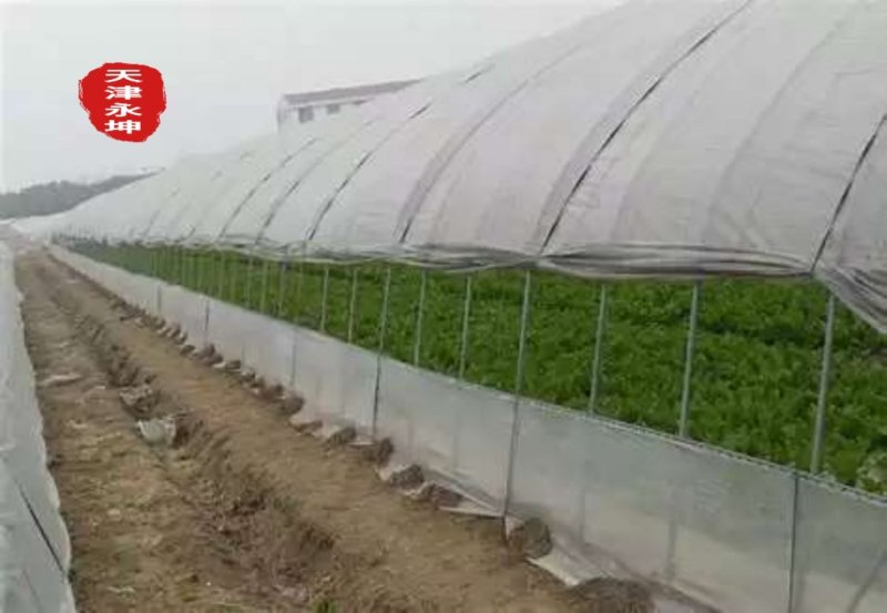 西瓜大棚蔬菜大棚草莓大棚西瓜大棚大棚架厂家直发