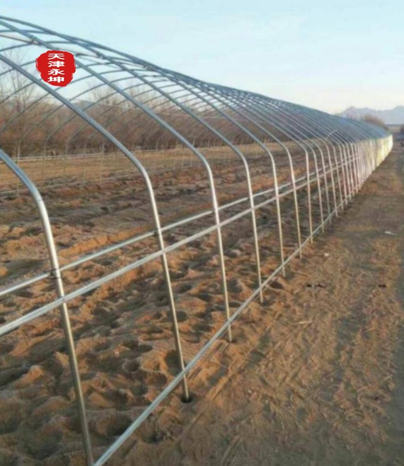 西瓜大棚蔬菜大棚草莓大棚西瓜大棚大棚架厂家直发