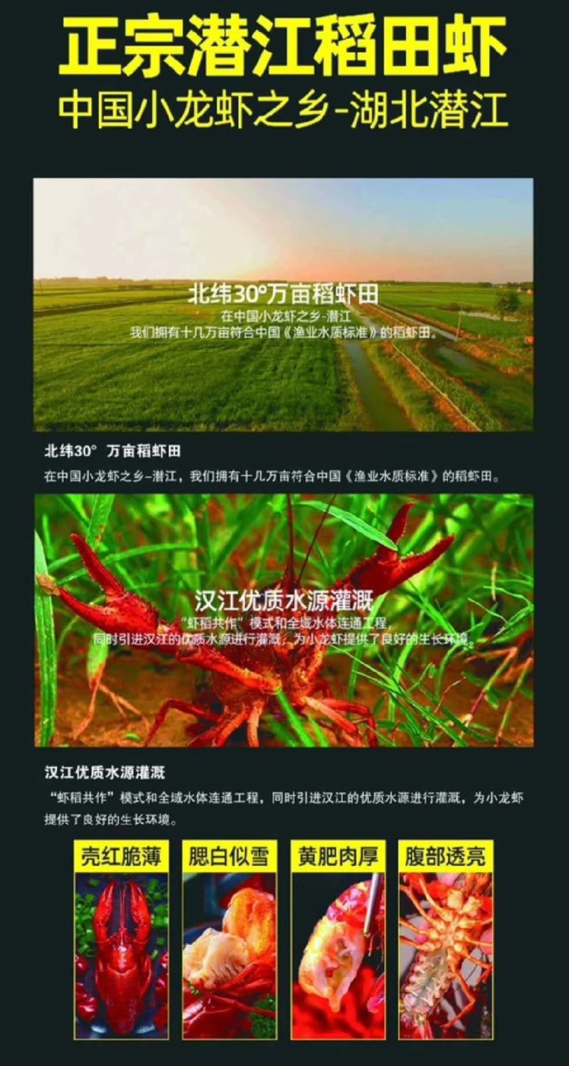 大量良仁小龙虾厂家直供量大从优精品质量