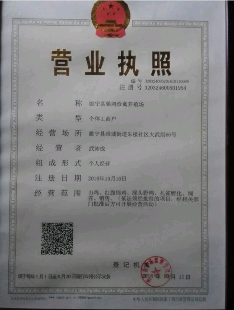 野鸡蛋野鸡种蛋，孵化专用，受精率达百分之九十五。
