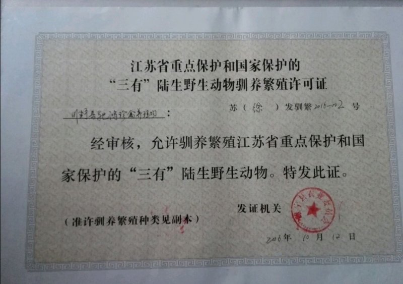 野鸡蛋野鸡种蛋，孵化专用，受精率达百分之九十五。