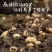 恩施高山地区正宗马尔科土豆