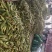 白玉米大量上市需要的联系我联系我时请说在一亩田上看到我的