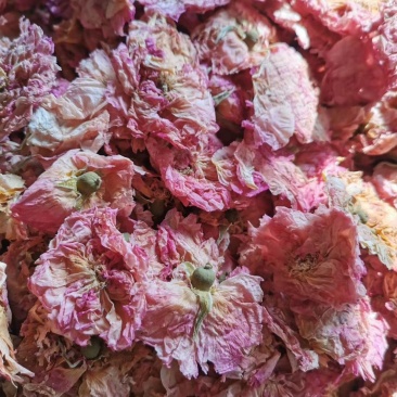 玫瑰花瓣