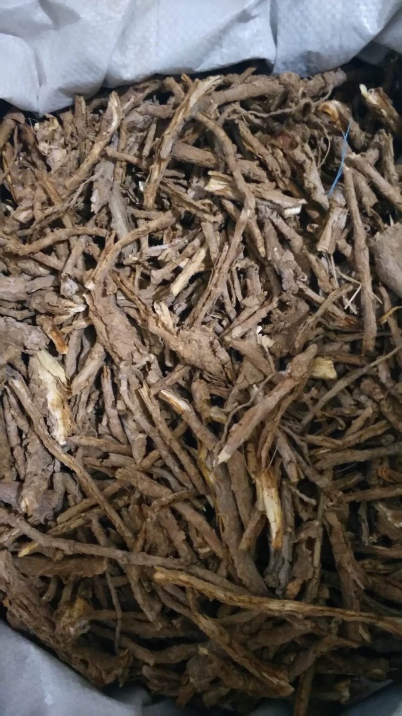 地骨皮