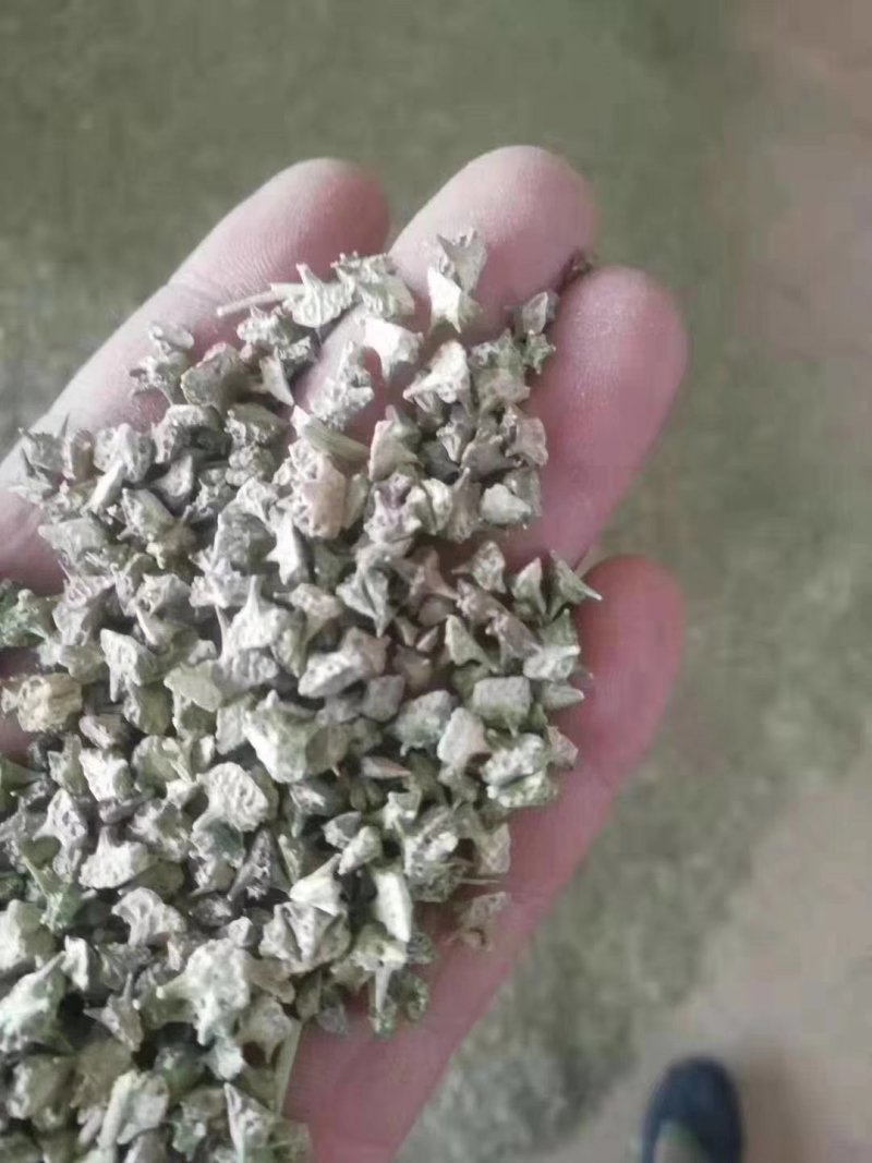 出售产地品种蒺藜小颗粒