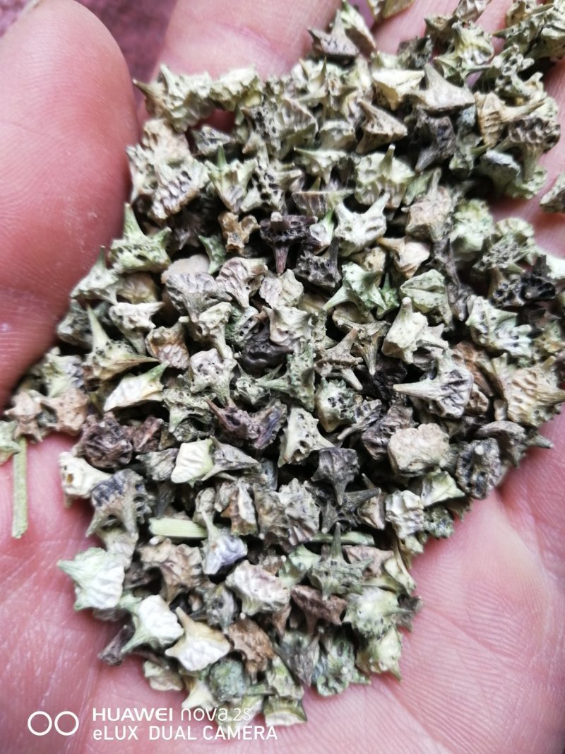 出售产地品种蒺藜小颗粒