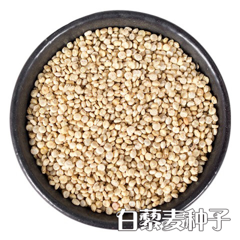 多重筛选优良藜麦种子白藜麦种子红藜麦种子