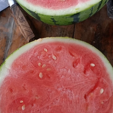 美都西瓜大量上市，寻找长期合作伙伴