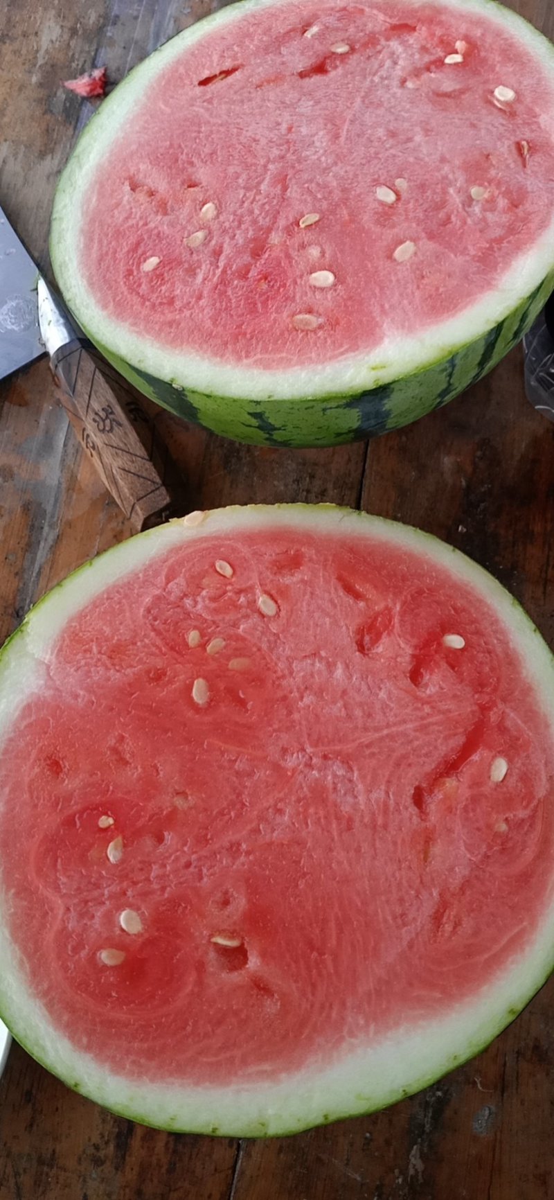 美都西瓜大量上市，寻找长期合作伙伴