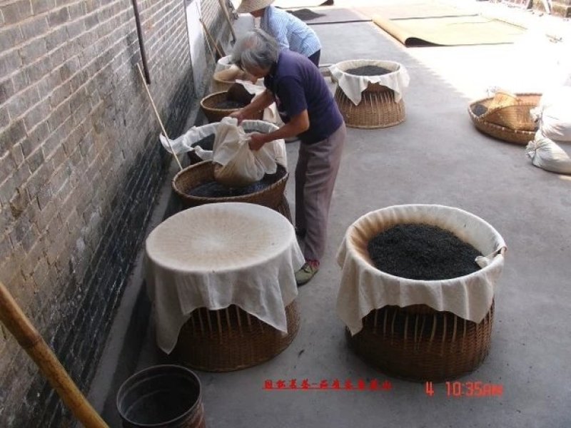夏春园年份安茶祖传秘方加工工艺