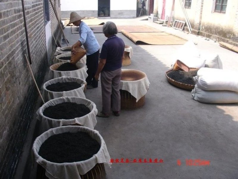 夏春园年份安茶祖传秘方加工工艺