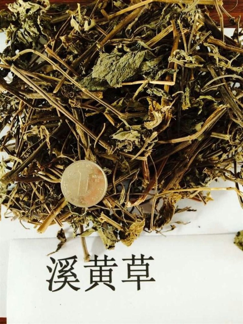 中药材溪黄草熊胆草血风草黄汁草