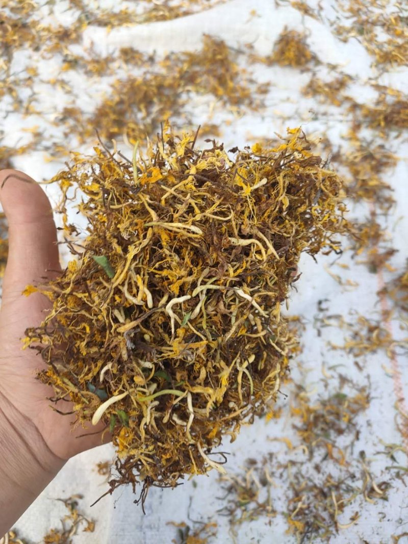 野生金银花，不是野生不要钱，，，，，，，，