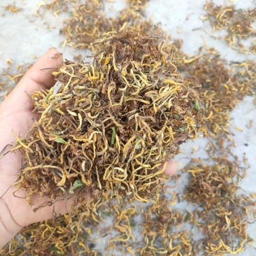 野生金银花，不是野生不要钱，，，，，，，，