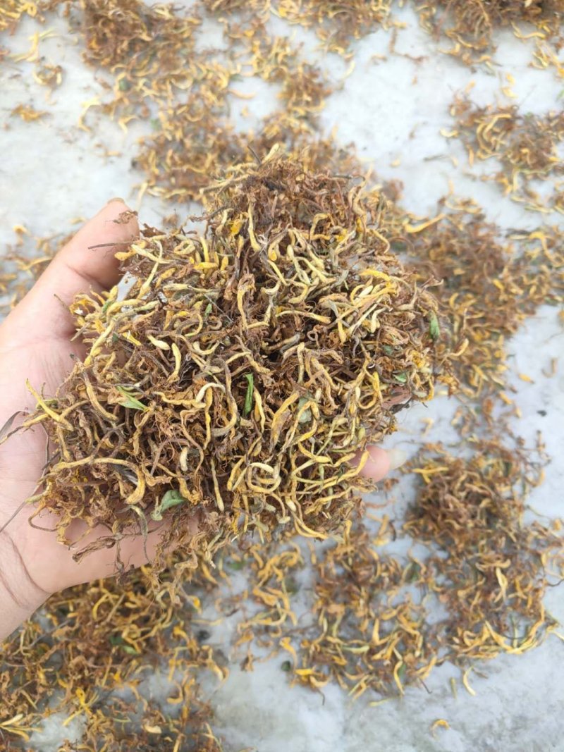 野生金银花，不是野生不要钱，，，，，，，，