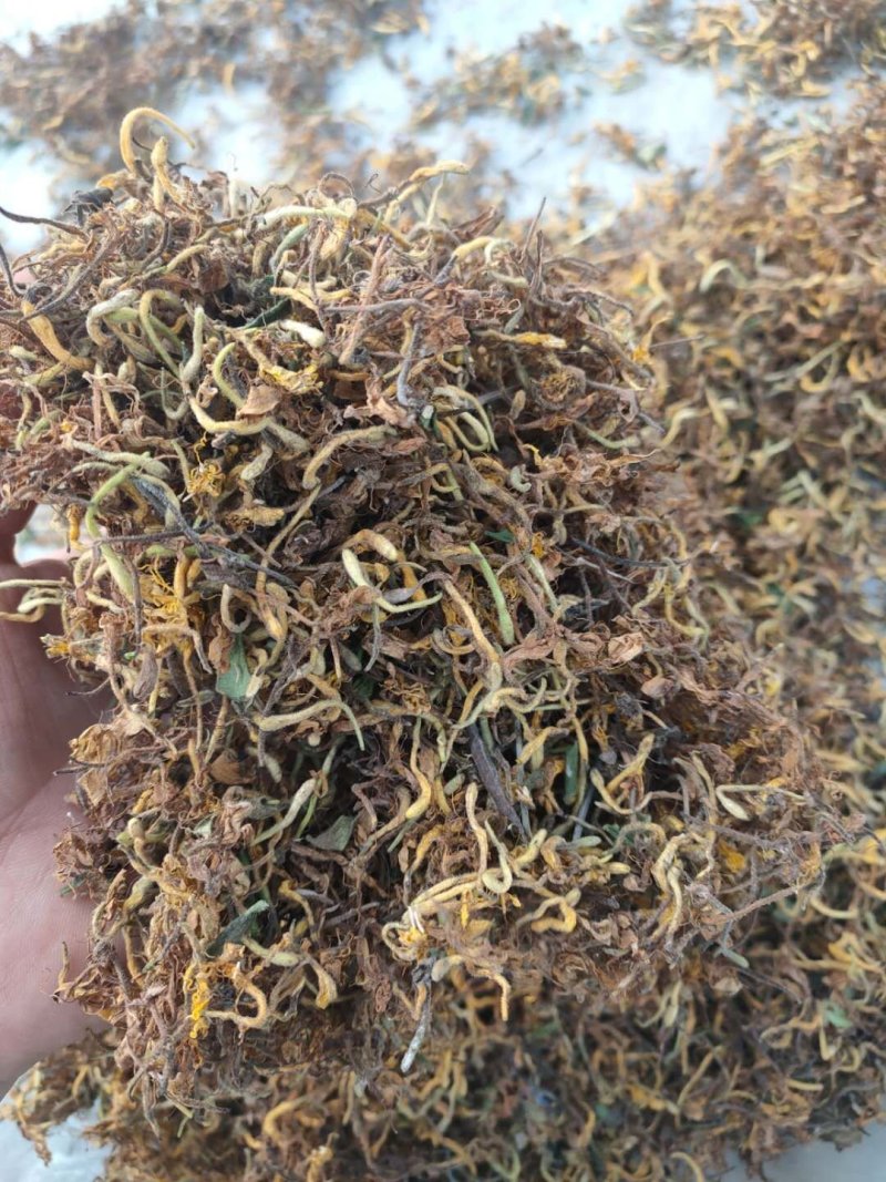 野生金银花，不是野生不要钱，，，，，，，，