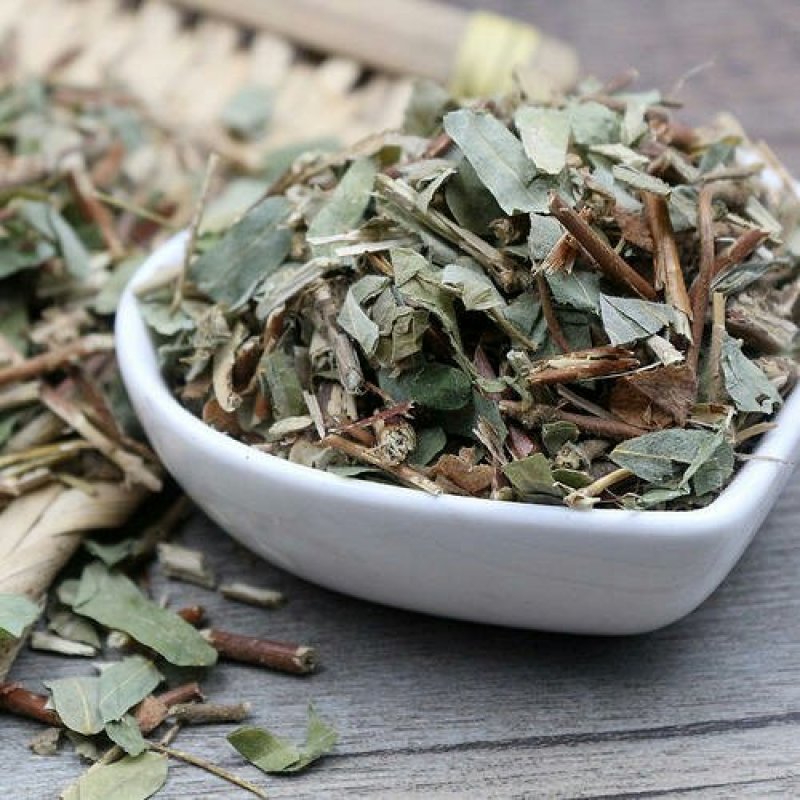 鸡骨草黄头草、黄仔强、大黄草、猪腰草鸡骨草