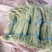 豆角大量供应欢迎考察参观诚信代办欢迎广大朋友和我在一亩田