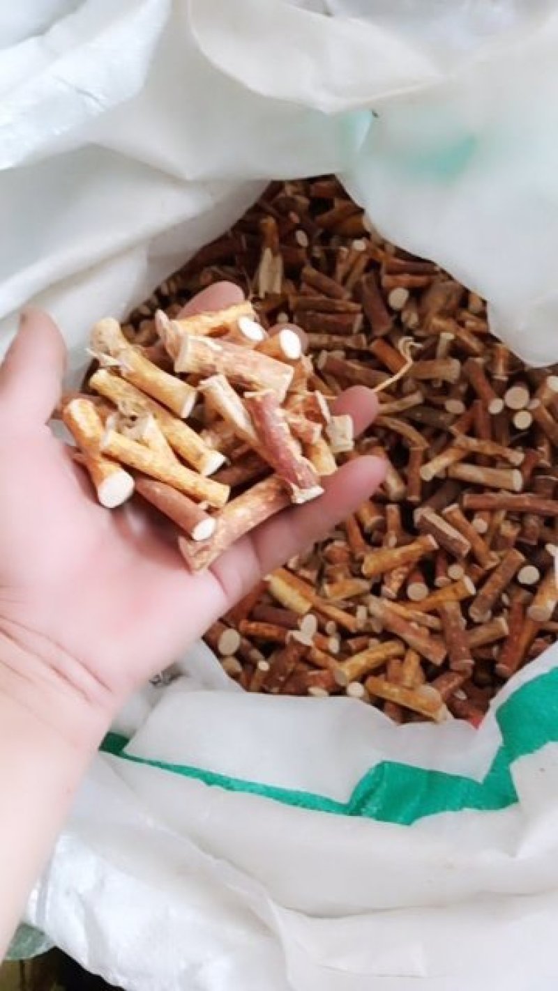 五指毛桃中根纯中根干条节节