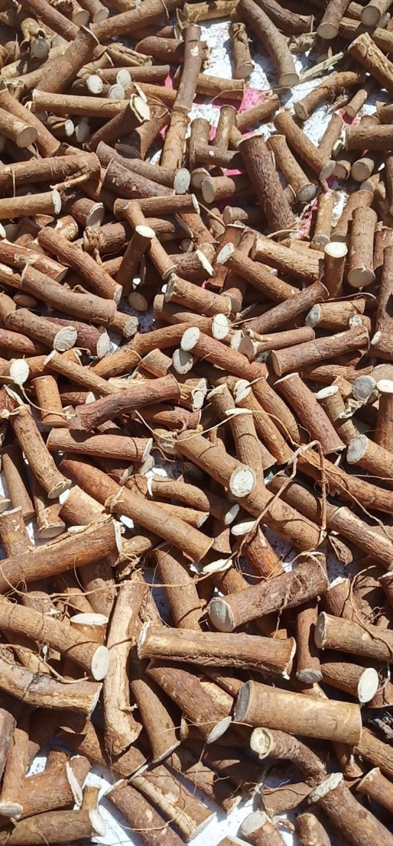 五指毛桃中根纯中根干条节节