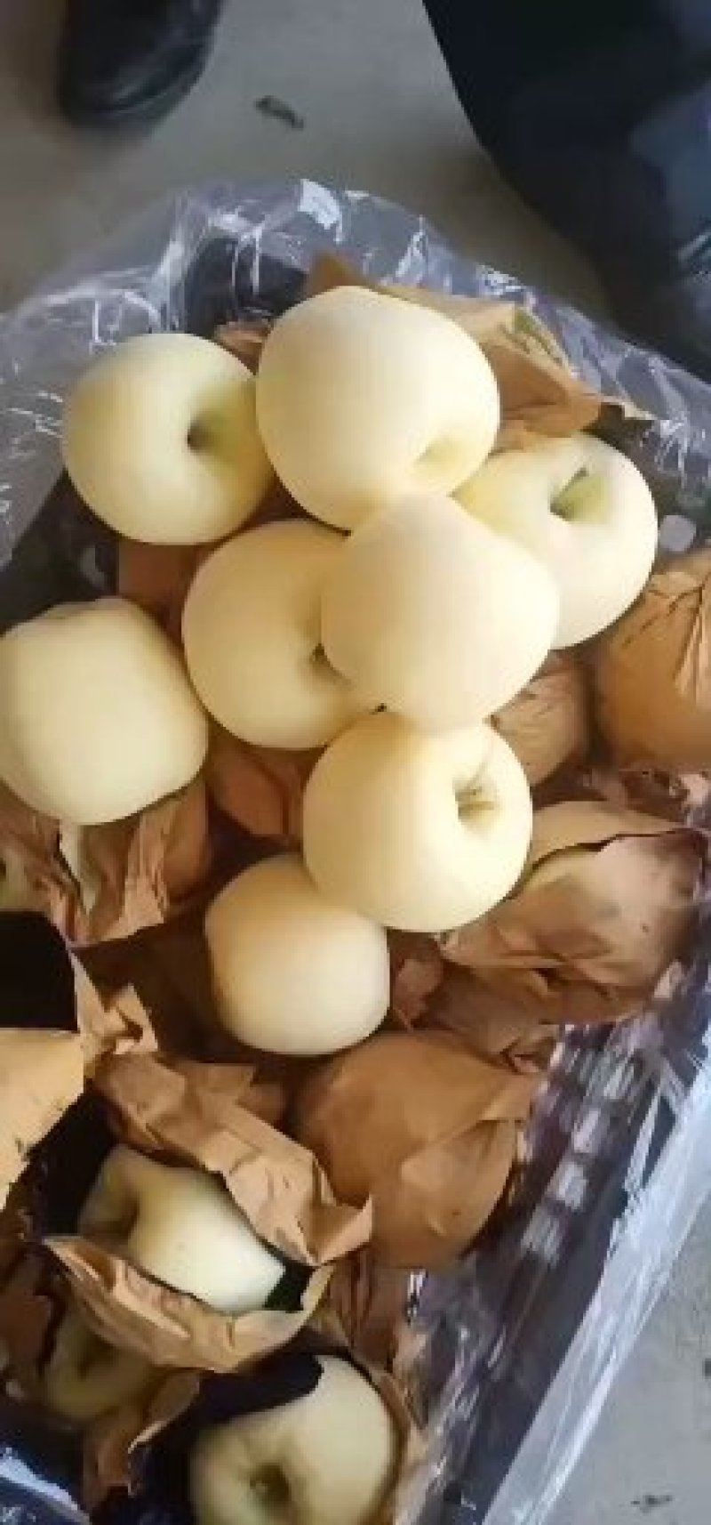 水果