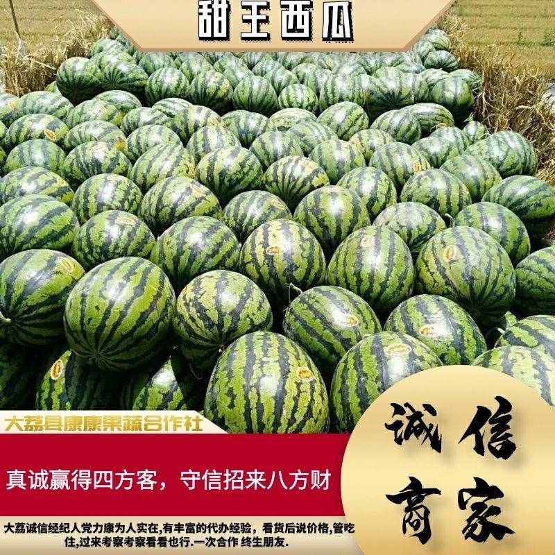 陕西甜王西瓜上市万亩直播苗甜王西瓜产地直销