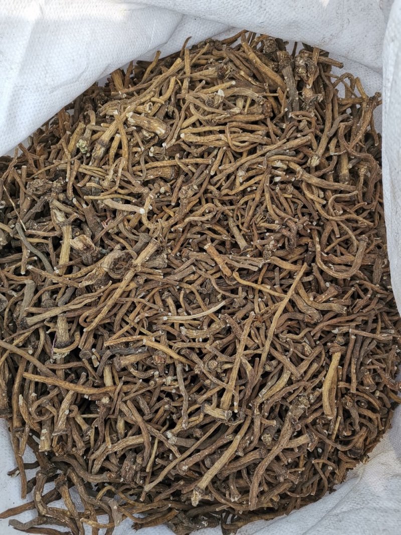 【精品】吉林长白山蒲公英根多规格当季新货品质保证欢迎咨询