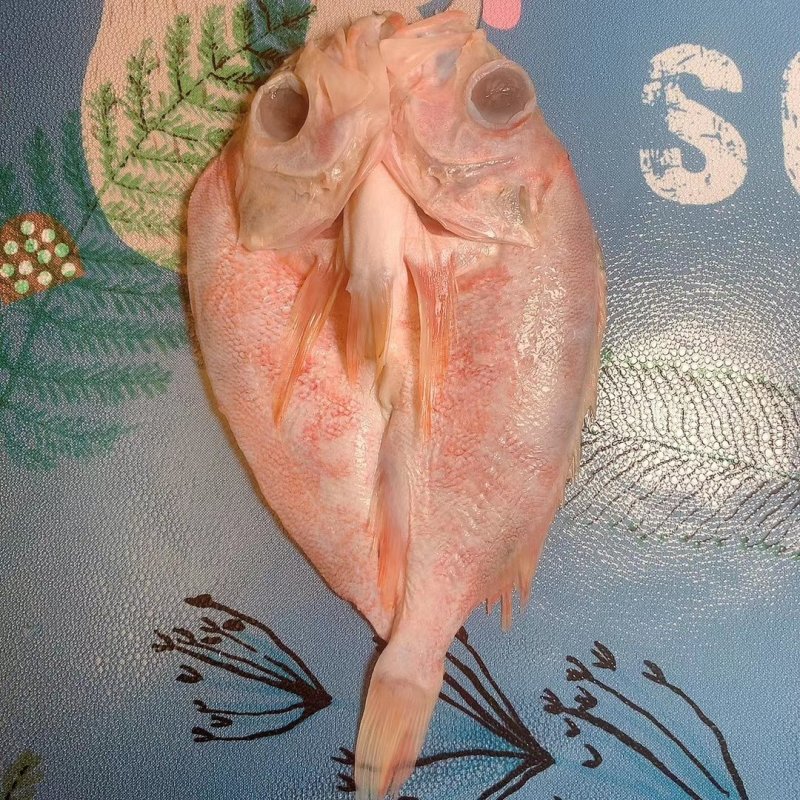 红鱼