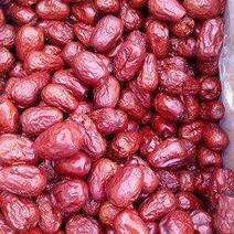 新疆自家种植骏枣，大枣，果实饱满，口感香脆