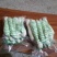 鸡腿菇。量大从优。质量有保障