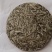大白芽白茶普洱茶大芽景谷白茶包邮活动价