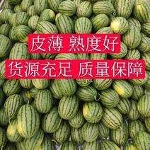 安徽早春红玉西瓜红壤皮薄9成熟，一手货源，大量供应
