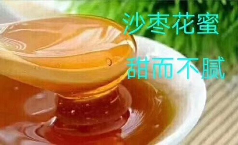 【蜂蜜】新疆2022年正宗野生沙枣蜜产地一手货源