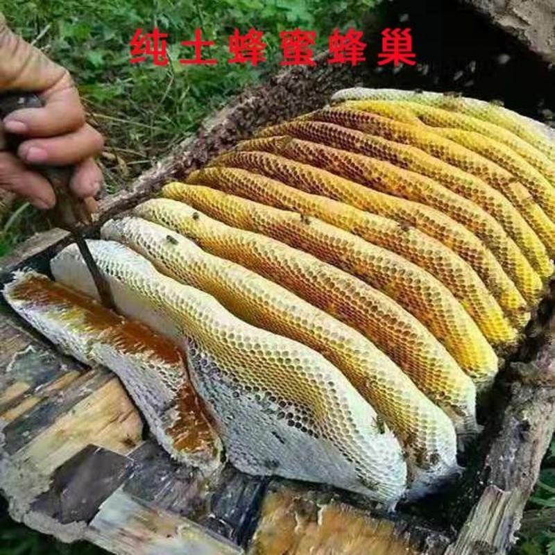 【全国一级好蜜】一级秦岭高山野生土蜂蜜不纯包赔敢比质量