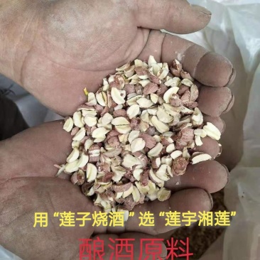 【莲子酒原料】湘莲、碎莲、半莲、整颗莲等量大从优