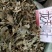野生的中药材龙利叶，龙利叶，产地一手货源，批发零售
