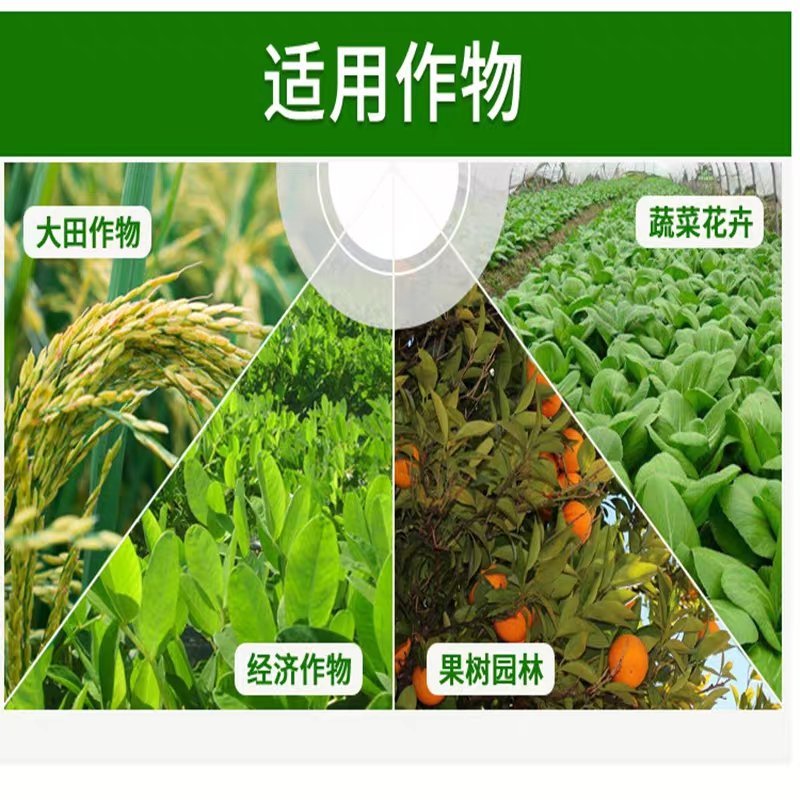 杀单苏云菌蔬菜果树药水稻水稻二化螟三化螟菜青虫农药杀虫剂