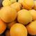 杏，金太阳杏，凯特杏，一手货源，对接电商，批发市场，超市