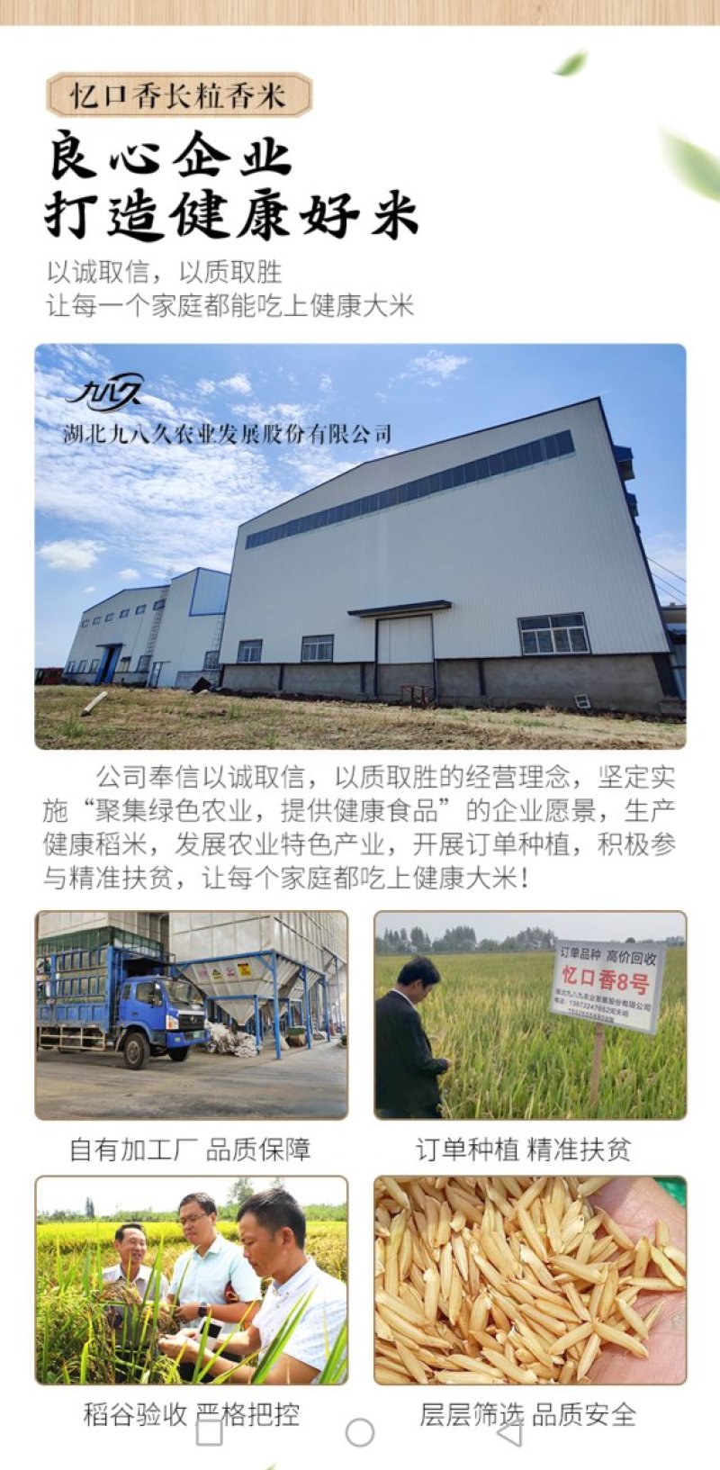 忆口香-长粒香米，订单种植，产区在湖北洪湖