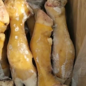 源头厂家直销，国产鲁西黄牛精品公牛火烧毛牛蹄、也可根据要巨片
