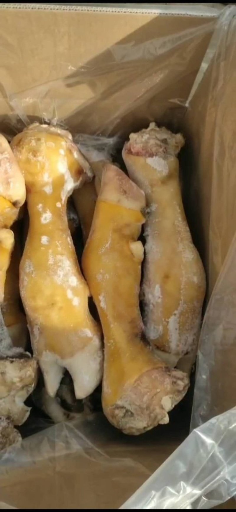 源头厂家直销，国产鲁西黄牛精品公牛火烧毛牛蹄、也可根据要巨片