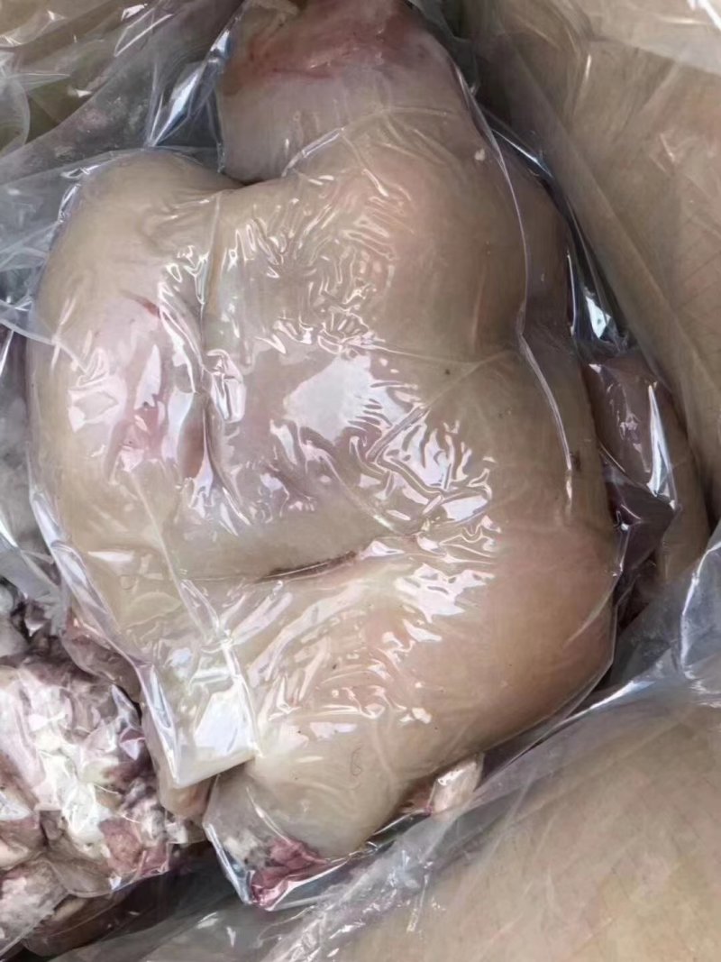 源头厂家直销，国产鲁西黄牛精品公牛火烧毛牛蹄、也可根据要巨片