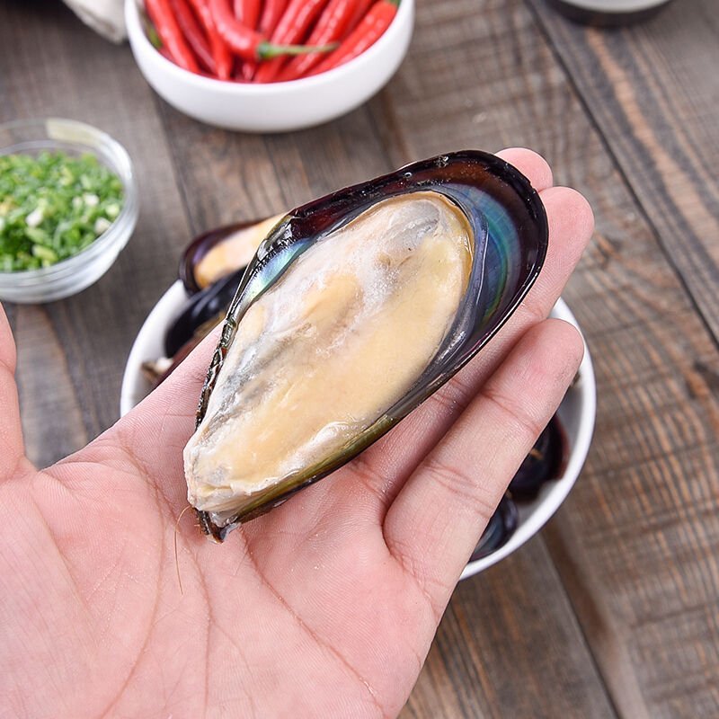 半壳蓝口贝青口贝贻贝黑贝海虹贝淡菜