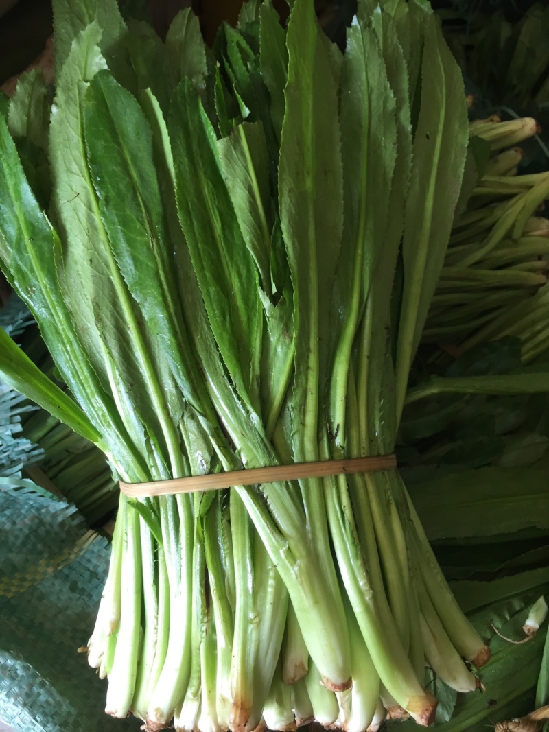 大香菜，野香菜