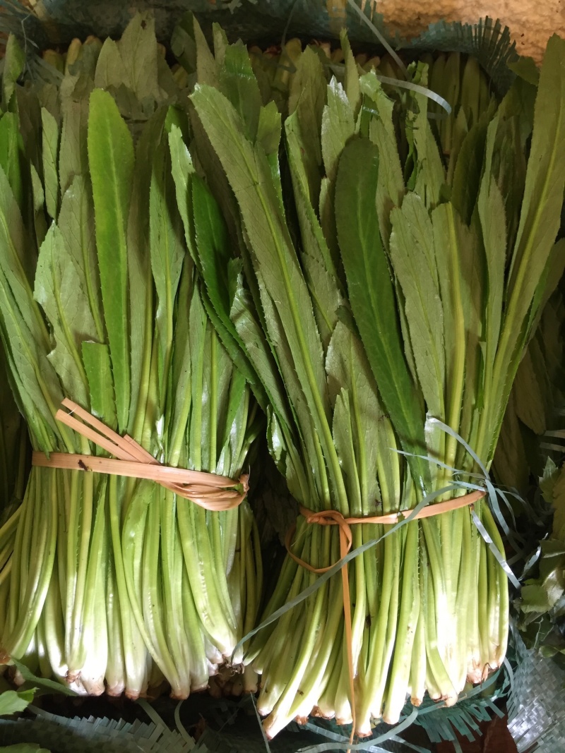 大香菜，野香菜