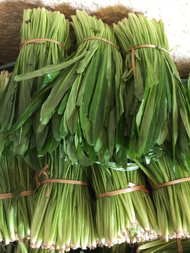 大香菜，野香菜
